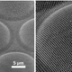 Illustration for article titled How a Moths Eye Could Help Improve the Efficiency of Solar Cells